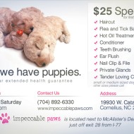 Design & Print Puppy Store Handout  Back